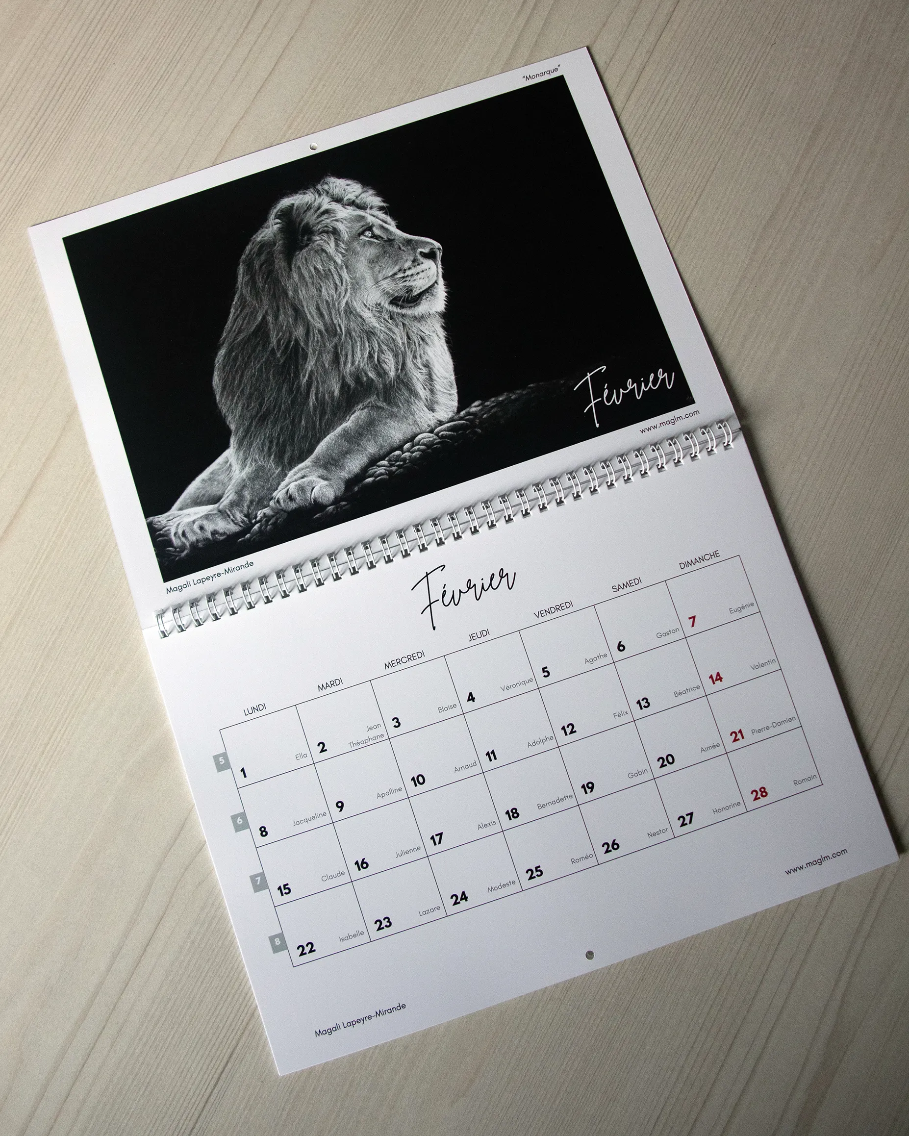 Exemple de page du calendrier d'art 2027 de l'artiste dessinatrice Magali Lapeyre-Mirande