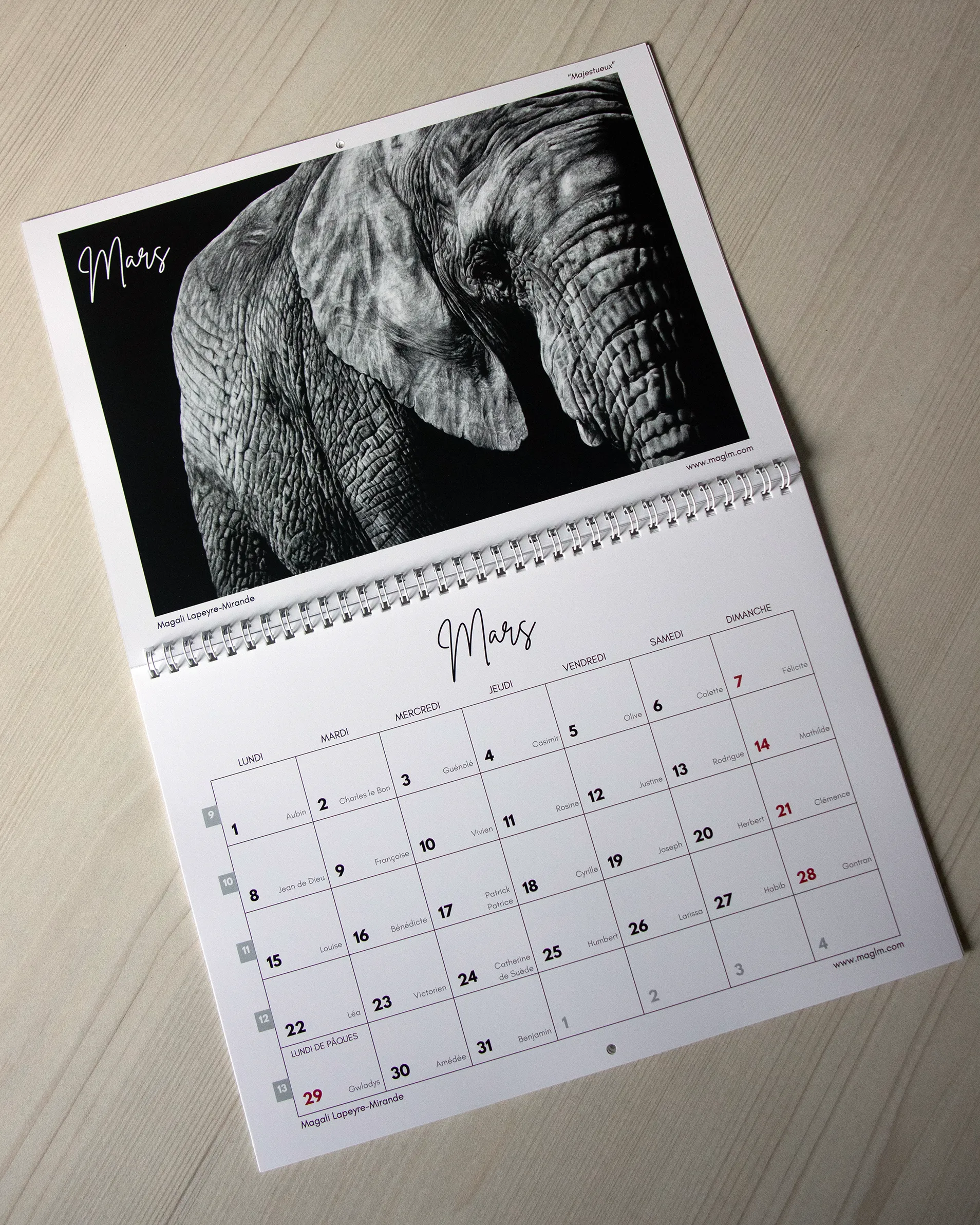 Calendrier d'art 2027 - Ombres et Lumières Sauvages (Édition Limitée) – Image 3