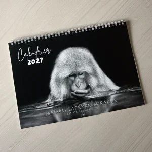 Calendrier d'art 2027 de l'artiste dessinatrice Magali Lapeyre-Mirande, spécialisée en art animalier contemporain